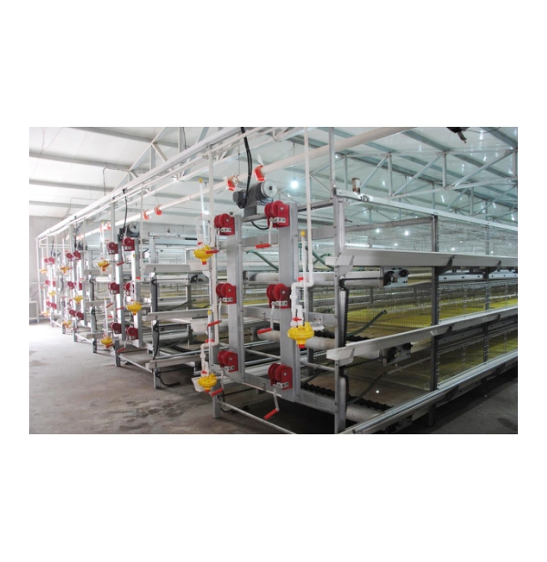 �ڽ��⼦����ϵͳ